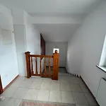 Apartment Trnovo Lunca